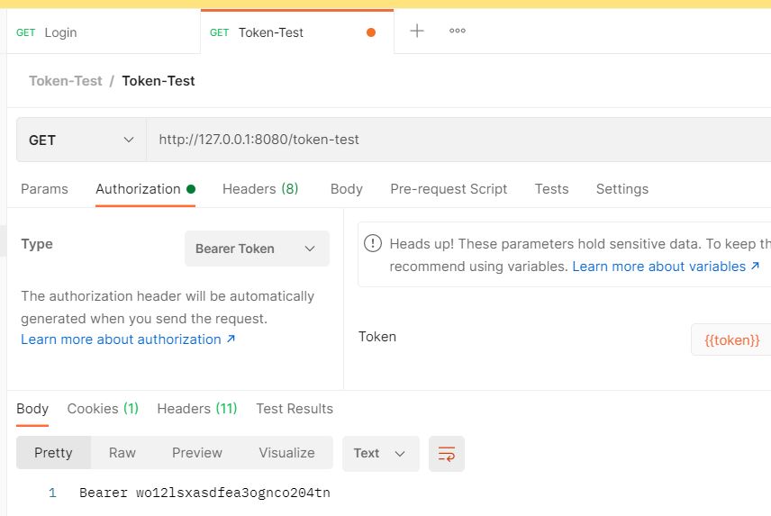 Postman token test